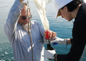 
					 Sampling with plankton net (photo: V. Flander Putrle)