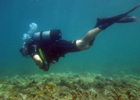  Scientific diving (photo: T. Makovec)
