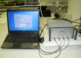  Measurement of respiration rate in Niphargus stygius. (Photo: Tatjana Simčič)