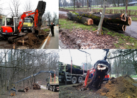  Action »Rescue of people and animal« within the project Beatle fauna of european conservation importanca in the Landspace Park Tivoli, Rožnik and Šišenski hrib. (Photo: Špela Ambrožič)