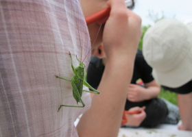 Fieldwork (photo: D. Bevk) 