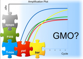  From Huber et al. 2013. J. Agric. Food Chem. Copyright © 2013 American Chemical Society