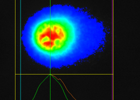  The image of a comet represents damaged DNA. (photo: Dr. Bojana Žegura)