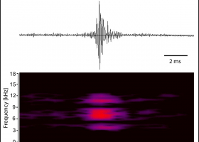 Vibrations of the Asian longhorn beetle measured in wood (oscillogram and sonogram) (image: M. Zorović)  Vibrations of the Asian longhorn beetle measured in wood (oscillogram and sonogram) (image: M. Zorović)